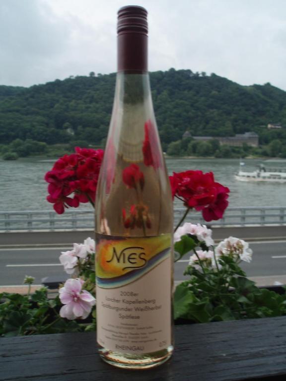 Weingut Theodor Nies Leilighet Lorch am Rhein Eksteriør bilde
