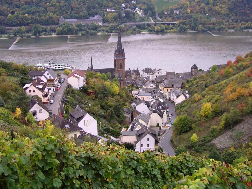 Weingut Theodor Nies Leilighet Lorch am Rhein Eksteriør bilde